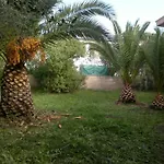 Il Fenicottero Rosa