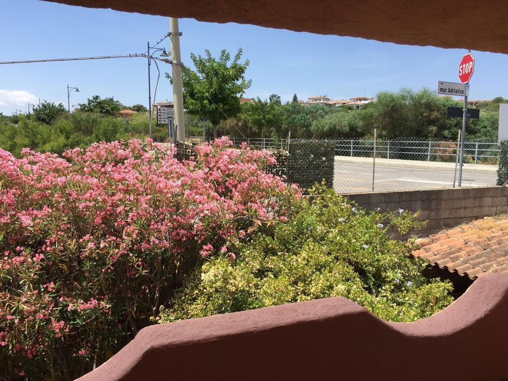 Il Fenicottero Rosa Olbia
