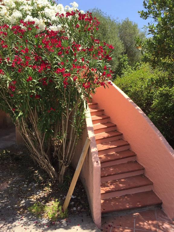 Ferienhaus Il Fenicottero Rosa *